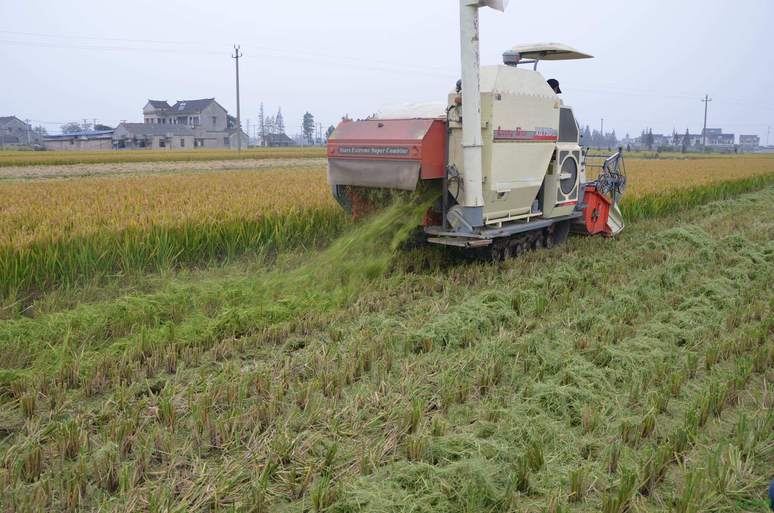 �ӱ�ʡ�r�I���Ƽ��g��λ���_95%����