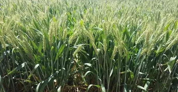 ������С�����@Щ���ߴ�ʩҪ֪����