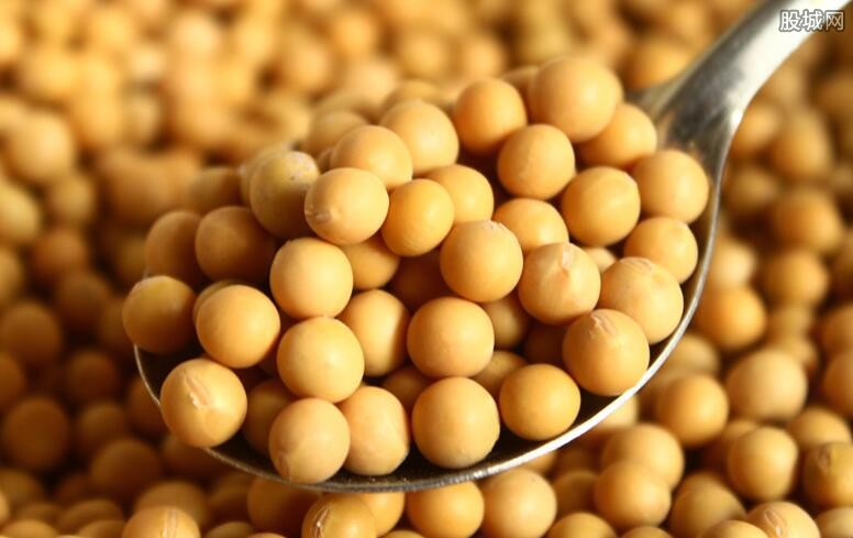 �����d��������ô���d�����w����Щ֧�����ߣ�������Σ�