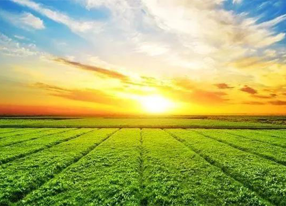 �T���͡��ИI(y��)��(bi��o)��(zh��n)ȱʧ ˮ�ܷʘ�(bi��o)��(zh��n)��ӆ��������