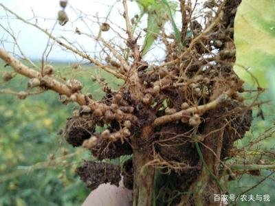 ΢������������r�I�Gɫ�lչ