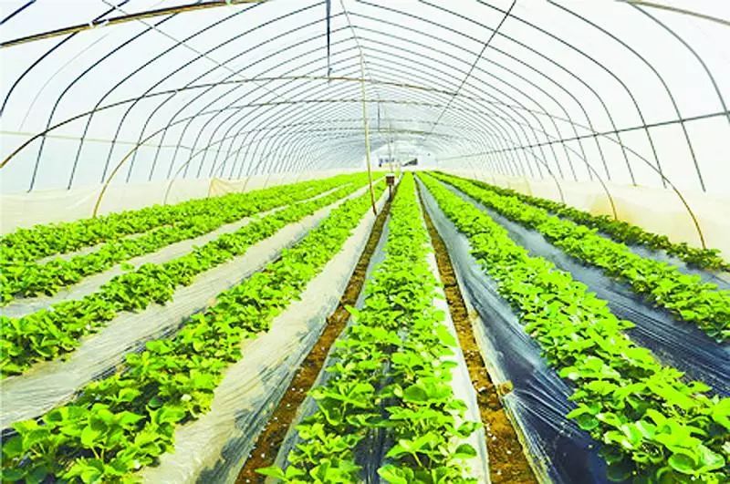 ������ͨ�ЙC���������׌�r�aƷ�����G��