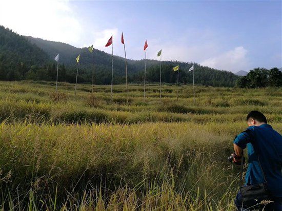 ����7�hԇ�c(di��n)���˲��ЙC(j��)���������