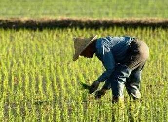 �r�I�r�岿��������2020�껯��ʹ��������ؓ���L