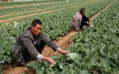 �e�O���M���������L��ָ���r��ƌW���p�ʡ�