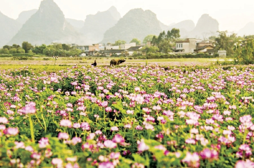 2019��G�ʼӹ���ӑ����ӛ ׌�G������Fһ������