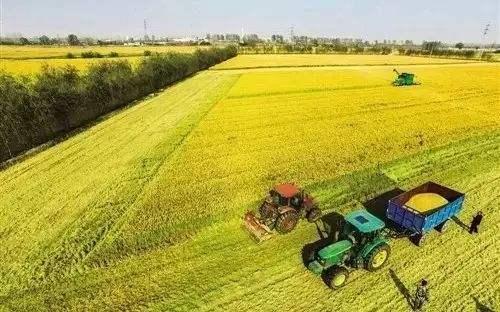 �Zʳ�a(ch��n)�����������곬1.3�f�|������rˎʹ�����p�F(xi��n)ؓ���L����