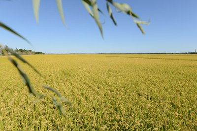 �ƽ�Մ������ɫ׃֮����ݛ�鑪���ɻ����ИI(y��)������(zh��n)