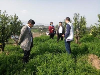 �ҿh����ƽ�������ЙC�ʷN�����B����