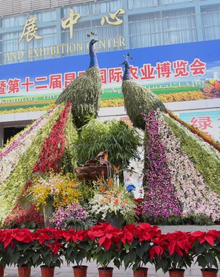 ��ʮ�����r�������m�_Ļ 15�҅�չ��I��ؚ������ٛ251���ЙC��