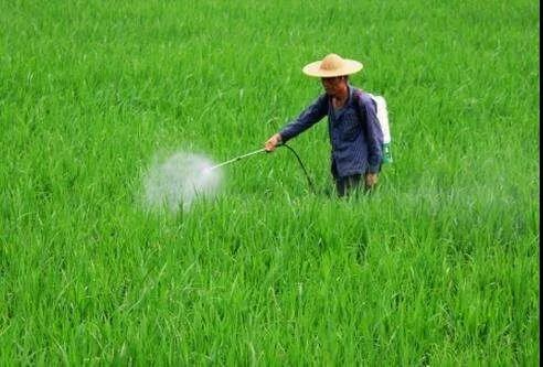 �㽭�������rˎʩ�����B�m6�ꌍ�Fؓ���L