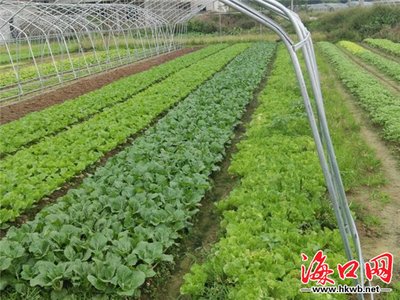 �r�I���|���lչ���������˲��ЙC��������ʵġ��Ӝp����