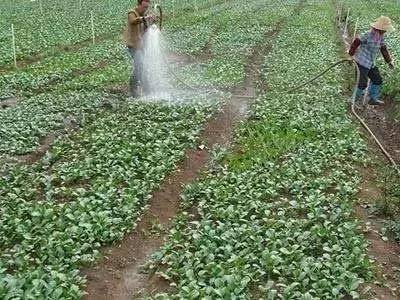 �pʩ���ʡ�����һ�p��֮