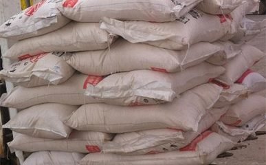 ɽ�����Ƕ�벢�e�ٻ��ʮa�I���԰lչ