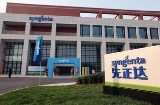 1��Ԫ���л�����52.65%�ɷ��D(zhu��n)�������_���F