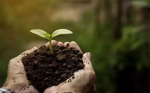 �ޏ�(f��)���������ƭh(hu��n)���������������|(zh��)��Ч......΢������϶���������