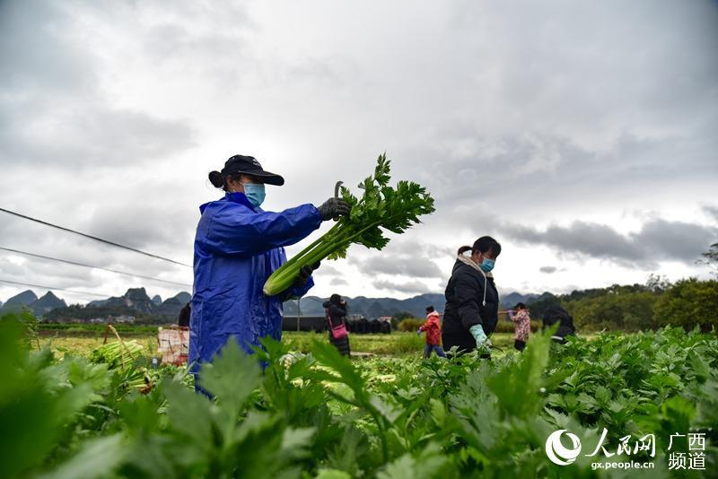 ͻ�l����o�����������Ӱ�