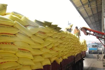 �����rˎ��������ͮa�͹����c����