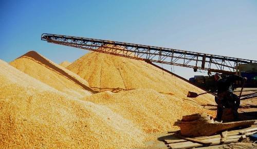 ���Ų����AӋ����ʡ���׷���a���_1ǧ�f������