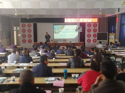 ���ʜp����Ӗ