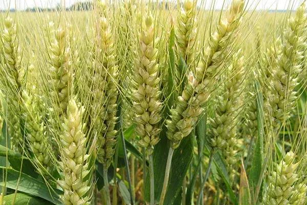 ���ҽy(t��ng)Ӌ(j��)�֣�ȫ����С�����N��e3.31�|��