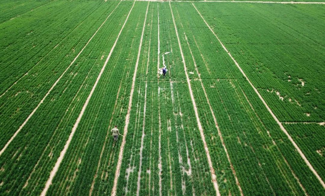 �����r�Y�ИI�l����������������r���h