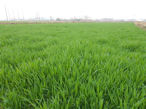 �y�Iץ��������غ�С���Ͳ˴������g���� ���M�^��100��Z�ļZ�S���Є�