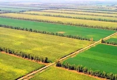 ��(n��i)�ɹ���ԭ�h�_չ���ͷ���Ʒ��ԇ� �������ʜp����Ч