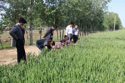 �r�I�r�岿�ɳ������M�����ش��x������