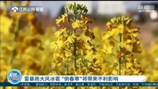 ���������ˣ����K�r�I�r�岿�T�@�Ӿo������