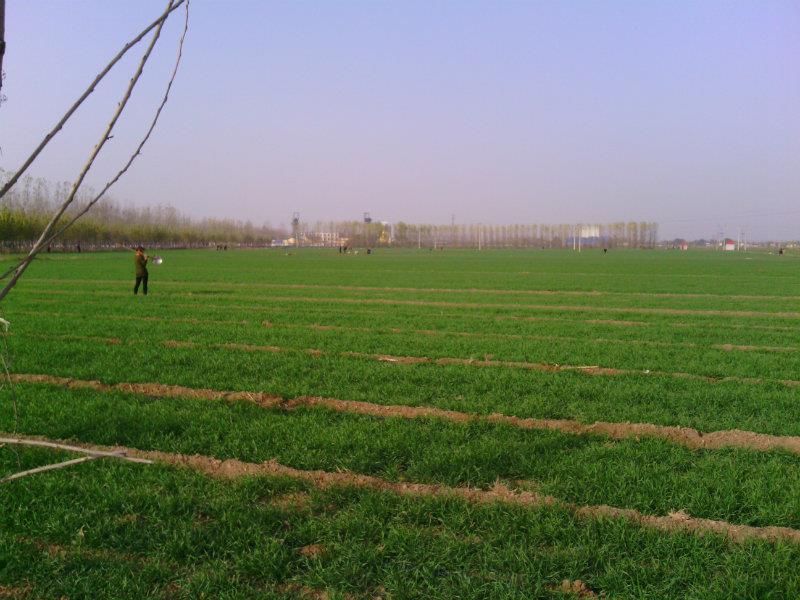 �|�������÷ʞ�β��p������