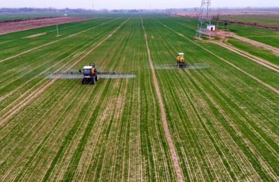 ��P���ʹ�˾�I�������䡱��Ψ���@�׼���������L��