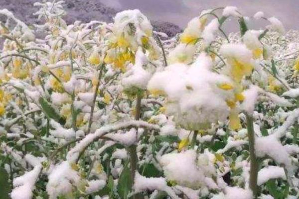 �����r��(ji��)�꼊����������������������