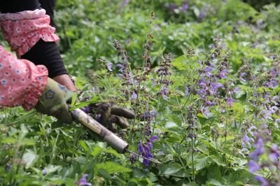 ��Ч��ز˵���Դ��Ⱦ���gģʽ׌�r�񾫜��÷�