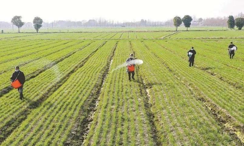 �½�������45�������ġ��r�Y������