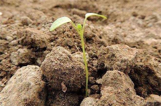 4��14�����@һ�؅^�_ʼ���ƻ���ʹ�ã�ȫʡ���M��