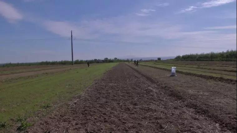 2020����½�ӡ�l�y���䷽ʩ���J����I