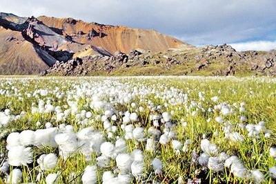 �޻�ȱ������ô�k���޻�ȱ��İY�ʩ�ʼ��g��