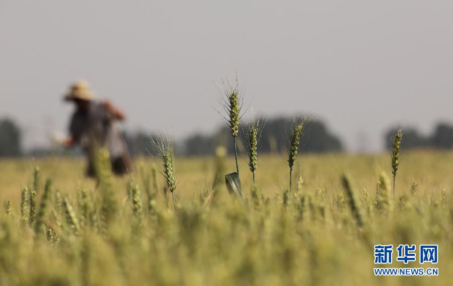 �ɕ�||�ɕ�֮�φ��ճɣ������мZ ���в���