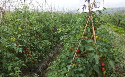 �ИI�ֻ��lչ���ЙC����I����Ҝʶ�λ��