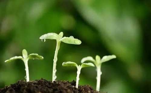 �˴�������h�m��(d��ng)�{(di��o)��⛷ʇ�(gu��)��(ch��)�������P(gu��n)��ʩ�����_(t��i)��YԴ��(ji��ng)�a(b��)����