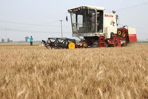 ���������ϻ����r(n��ng)ˎ�pʩ��Ч�C�ϼ��g(sh��)ģʽ���F(xi��n)���^Ħ���y�u(p��ng)��(hu��)�ɹ����_