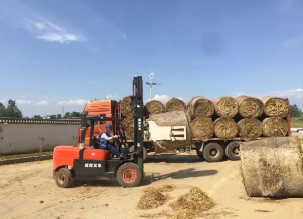 �������нն����ϻ����ü��gָ����Ҋ