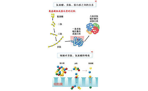 ��������~���׷��ϵđ��ìF(xi��n)���cǰ��