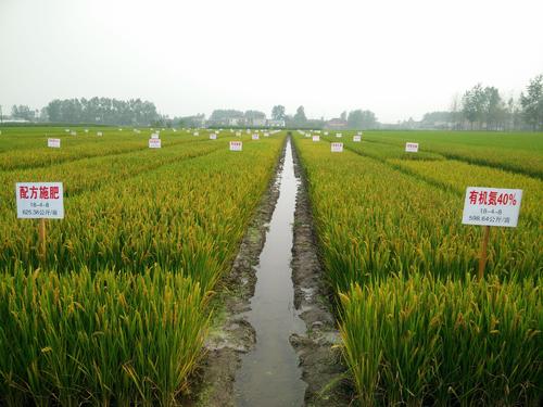 ���������G���r(n��ng)���_չ�ЙC�����gԇ���Mˮ�����|(zh��)���a(ch��n)