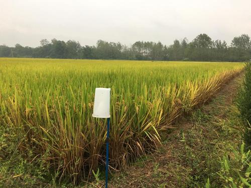 ������ǰ�����r���ӡ��������Ѓr�Է�����