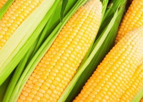 �����ƏV���rʳ���ף���݆���ƣ��r(n��ng)��������p���ơ�