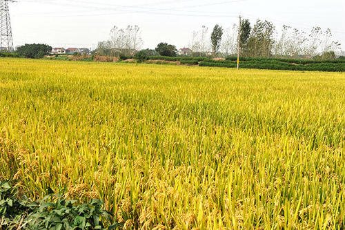 �Ž���ˮ������ʩ�ʼ��gʾ���^Ħ�����ʜp����Ч�������M������ɿh���_