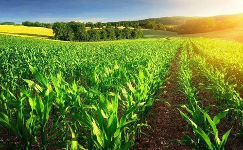 ��һ������ ���׏ͷ��ИI����ô����