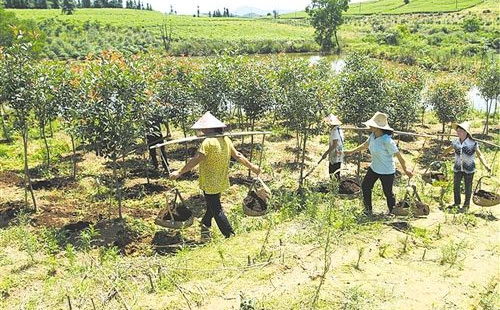 �״��{(di��o)�����ЙC(j��)����������Є�ԇ�c(di��n)����U(ku��)��